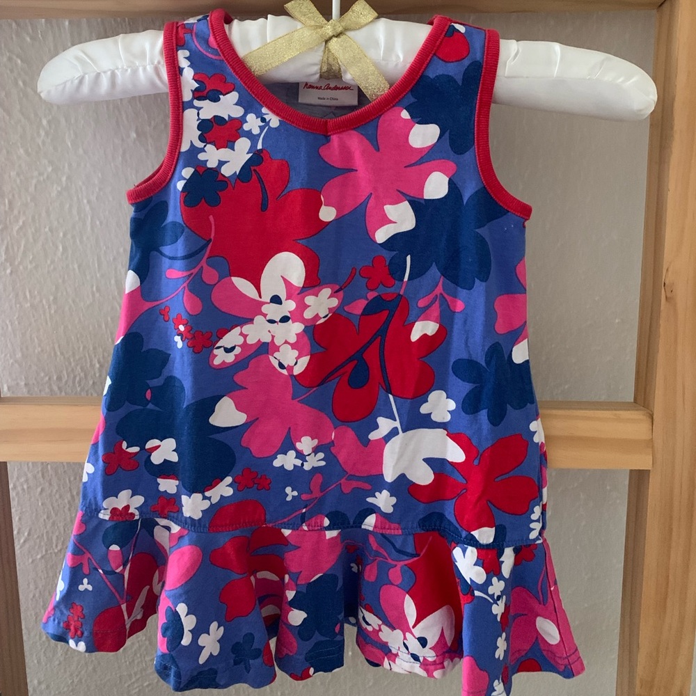 GUC✨Floral Hanna Andersson Dress | 2